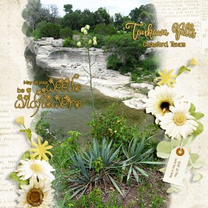 Tonkawa Falls