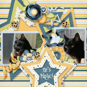 My Magic cat