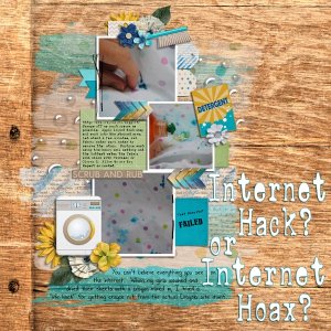 Internet Hack or Hoax