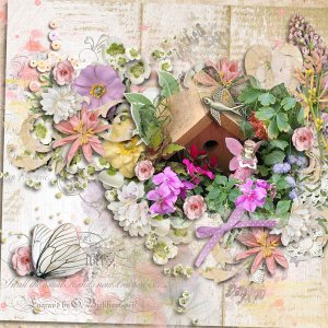 Fairy Garden