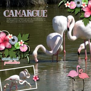Camargue