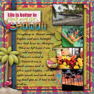 Life Is Better In Paradise - Hawaii