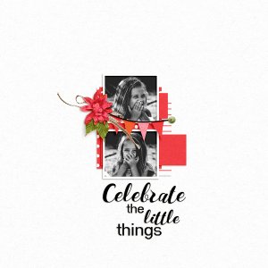 Celebrate the Little Things