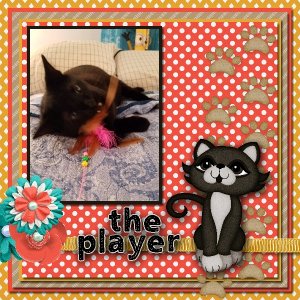 The Player