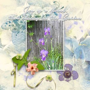 Flowers from the Garden - Iris