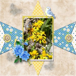 yellow flowers