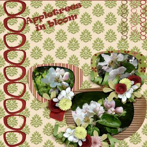 Appletrees-in-bloom