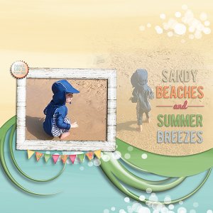 Sandy Beaches
