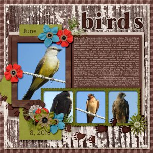 6-June_8_2018_woods