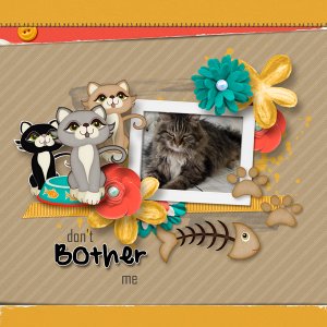 Don;t Bother Me