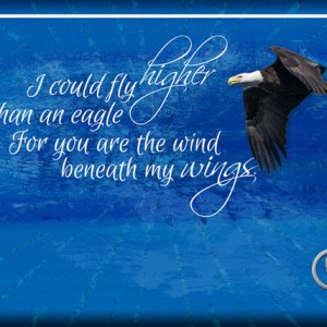 ATC 2018-065 The Wind Beneath My Wings