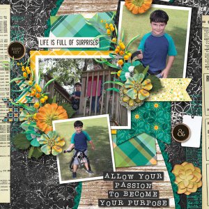 July 2018 by Connie Prince