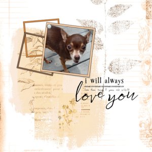 Love You