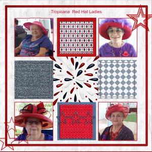 sandie03-DD-Red white blue1