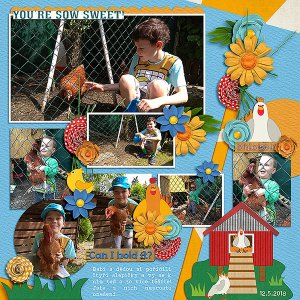 Chicken friends
