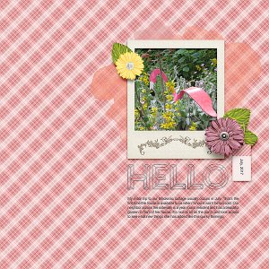 Hello July