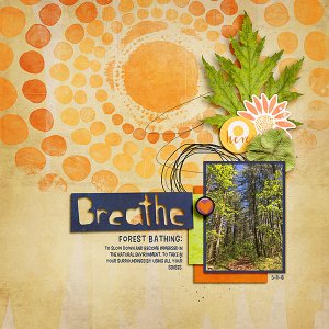 Forest Bathing