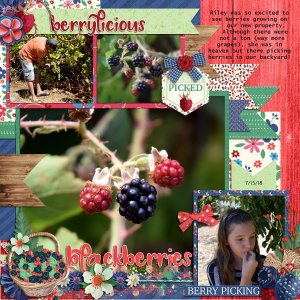 Backyard Blackberry Picking