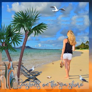 01-Seashels-on-the-beach