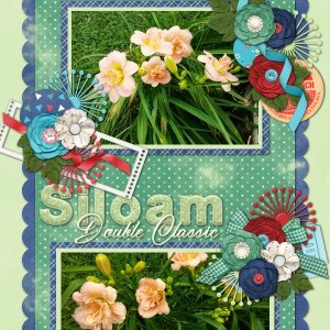 Siloam Double Classic