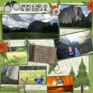 2017 Glacier Falls Drive