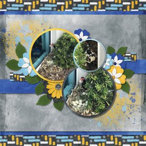 Celebrate 2018: June by Heather Z Scraps
