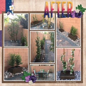 BackyardAfter