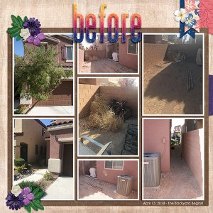 BackyardBefore