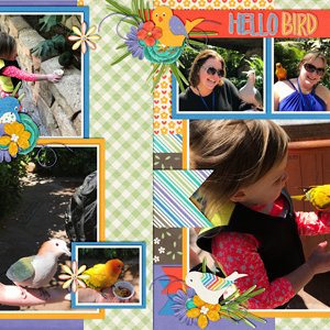 Birds