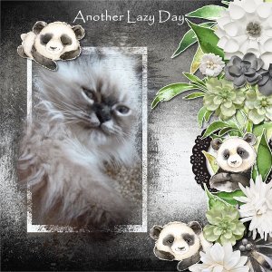 Another Lazy Day