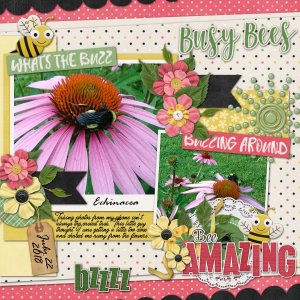 2018gwd07_cap_busybees