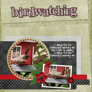 Birdwatching