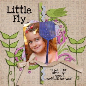 Little Fly