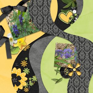 Summer Flowers