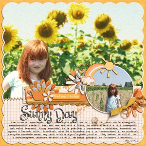 Sunny Day