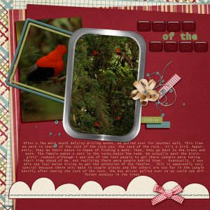 Birds in the Jungle
