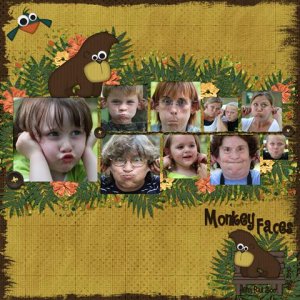 Monkey Faces