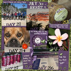 Lisa's Week Thirty One