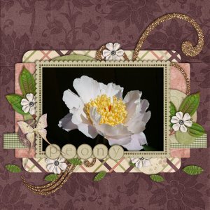 Peony