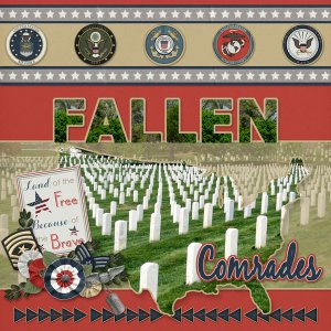 Fallen Comrades