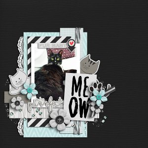 Meow