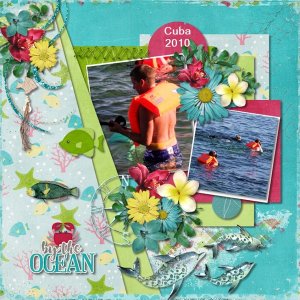In the Ocean
