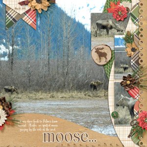 Moose