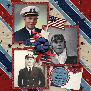 Land of the Free because of the Brave
