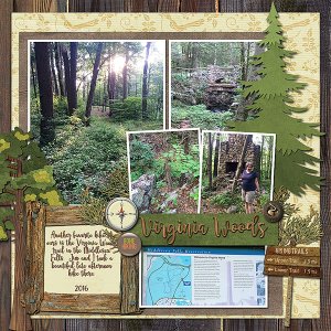 Virginia Woods