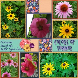 Colors of Summer