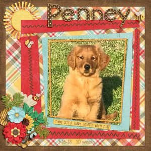 GSRecipeChal718-Penney31618-10wks