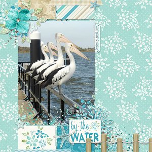 Pelicans