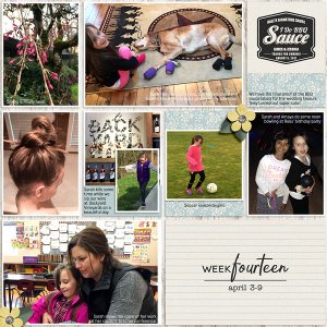 Week 14