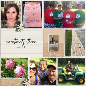 Week 23